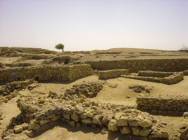 Descoberta no Paquistão a maior oficina de marfim do Mundo Antigo (FOTOS) Descoberta no Paquistão a maior oficina de marfim do Mundo Antigo (FOTOS) - Sputnik Brasil