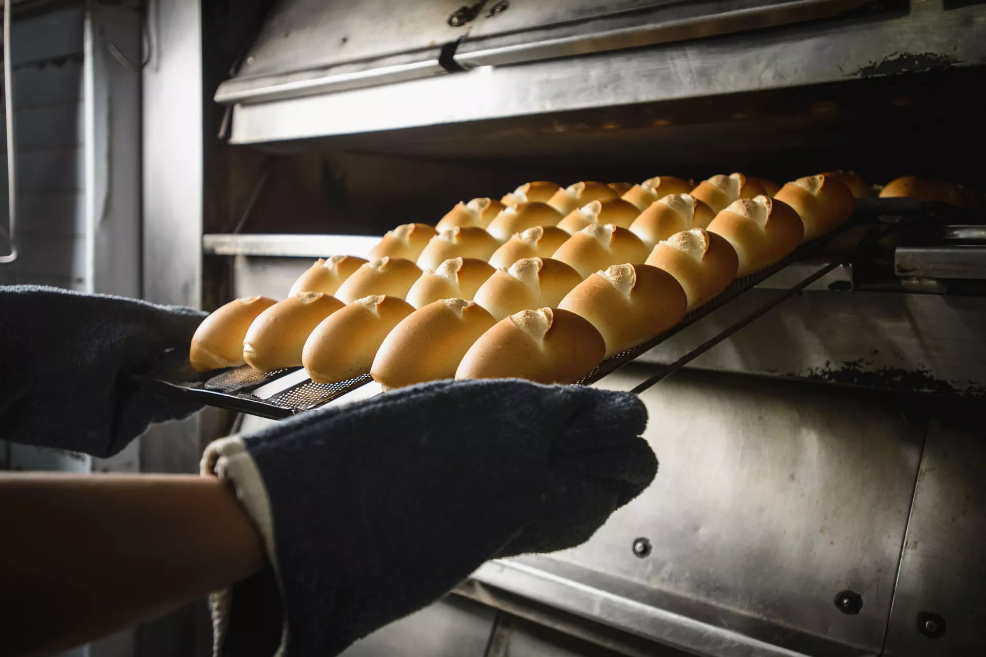 Padaria em Franca, São Paulo: o trigo é ingrediente fundamental para a produção do pão - Sputnik Brasil, 1920, 17.03.2022
