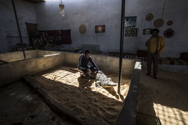 Vivendo com predadores: núbios do Egito dividem suas casas com crocodilos-do-nilo (FOTOS) Vivendo com predadores: núbios do Egito dividem suas casas com crocodilos-do-nilo (FOTOS) - Sputnik Brasil
