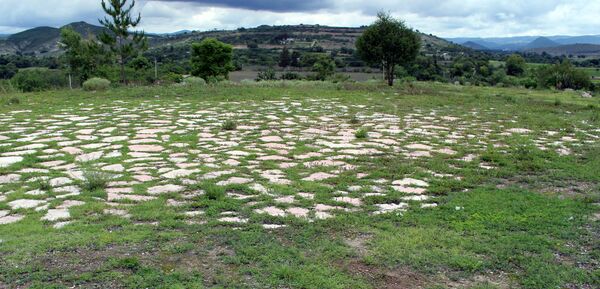Futebol antes do futebol: pesquisadores descobrem campo de esporte milenar no México (FOTO) - Sputnik Brasil