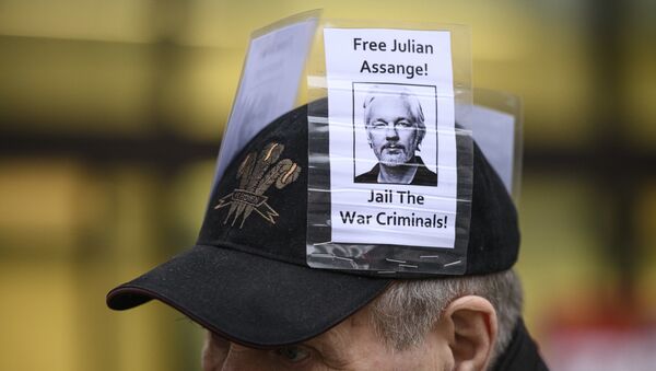 Participante de manifestação contra extradição do fundador do WikiLeaks, Julian Assange, em Londres - Sputnik Brasil
