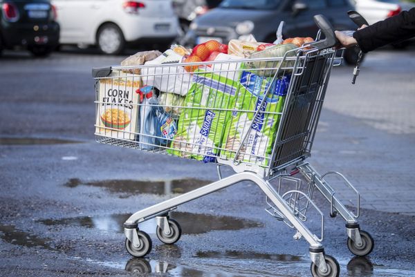 Carrinho de compras lotado é empurrado por consumidor na cidade de Pullach, na Alemanha Carrinho de compras lotado é empurrado por consumidor na cidade de Pullach, na Alemanha - Sputnik Brasil
