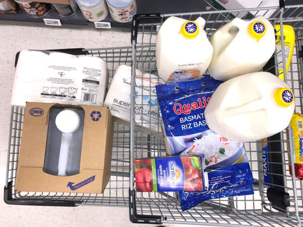Carrinho cheio de produtos lácteos demonstra a inquietação dos consumidores da cidade de Vancouver em meio à disseminação do novo coronavírus, no Canadá Carrinho cheio de produtos lácteos demonstra a inquietação dos consumidores da cidade de Vancouver em meio à disseminação do novo coronavírus, no Canadá - Sputnik Brasil