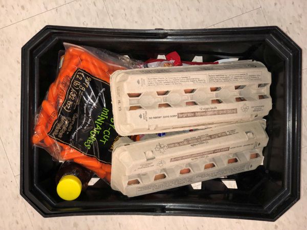 Cesta de compras de consumidor preocupado com a possibilidade de escassez de alimentos em função do coronavírus, no Canadá Cesta de compras de consumidor preocupado com a possibilidade de escassez de alimentos em função do coronavírus, no Canadá - Sputnik Brasil