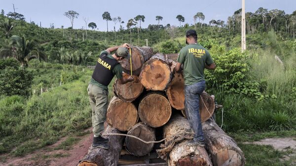 Agentes do Ibama apreendem uma carga ilegal de madeira na área indígena de Cachoeira Seca, no Pará - Sputnik Brasil