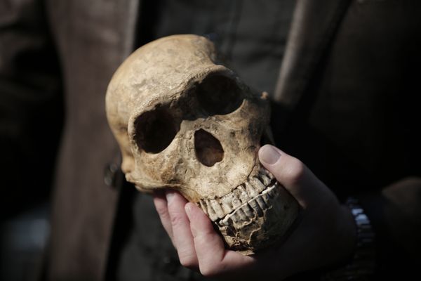 Encontrados restos mortais de adolescente de mais de 300.000 anos (FOTO) Encontrados restos mortais de adolescente de mais de 300.000 anos (FOTO) - Sputnik Brasil