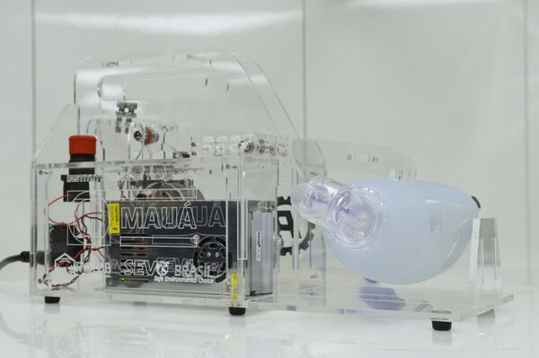 Por que curso da COVID-19 pode ser diferente em gêmeos idênticos? Cientistas respondem - Sputnik Brasil