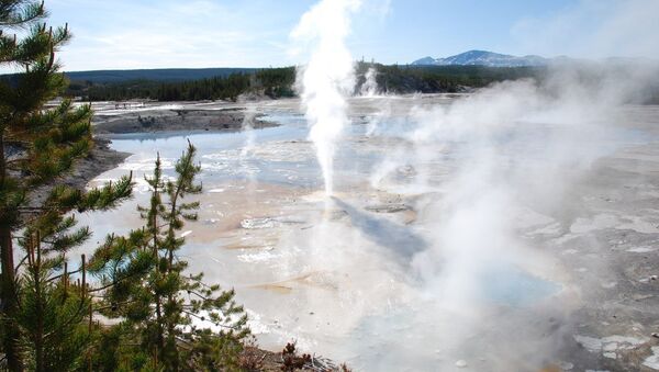 Parque Nacional de Yellowstone, localizado nos estados norte-americanos de de Wyoming, Montana e Idaho (imagem de arquivo) - Sputnik Brasil