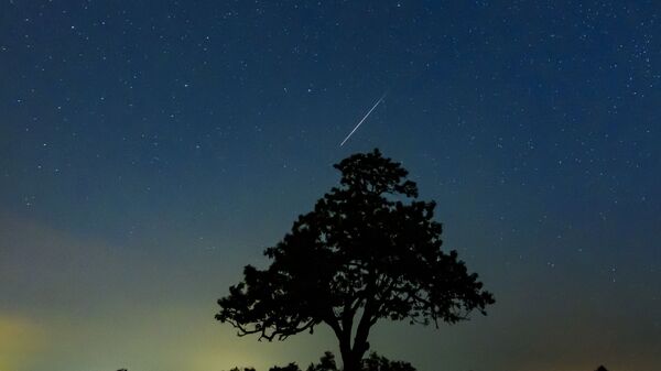 Um meteoro Perseida ilumina o céu - Sputnik Brasil