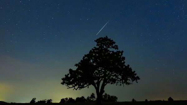Um meteoro Perseida ilumina o céu - Sputnik Brasil