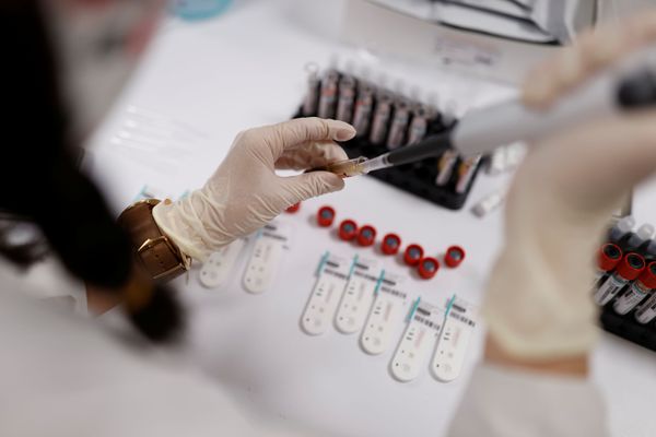 Apesar de pregar solidariedade, França se recusa a vender medicamentos para outros países da UE Apesar de pregar solidariedade, França se recusa a vender medicamentos para outros países da UE - Sputnik Brasil