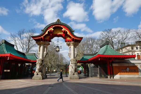 Zoológico de Berlim rejeita sacrifício de animais por falta de verbas em meio à pandemia - Sputnik Brasil