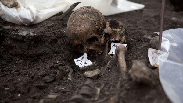Dois crânios em sítio arqueológico (imagem referencial) - Sputnik Brasil