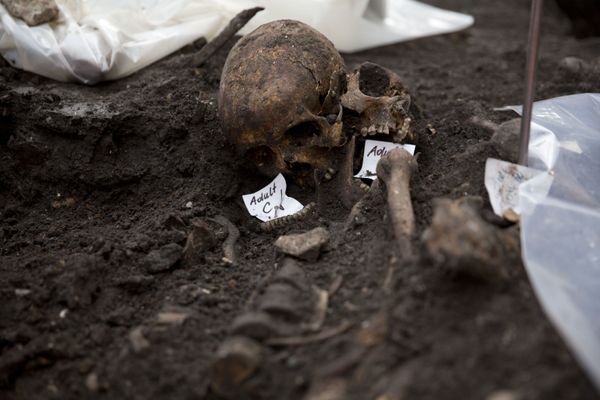 Fósseis de 500 anos revelam 1ª geração de africanos levados para as Américas - Sputnik Brasil