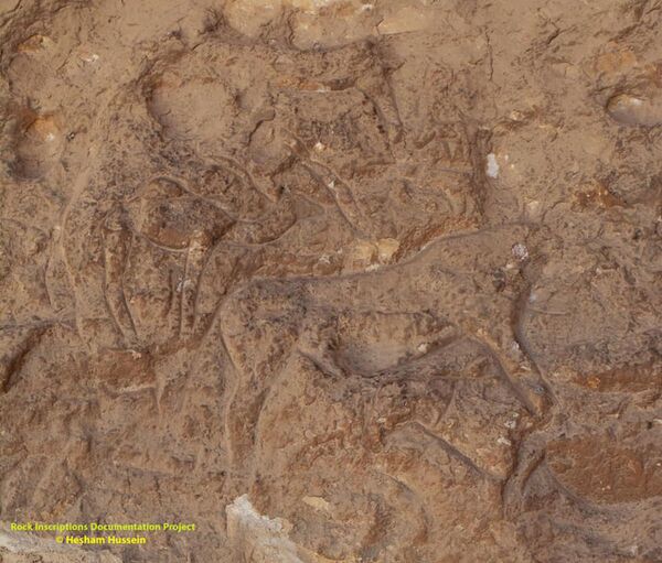Arqueólogos descobrem no Egito caverna com pinturas rupestres inigualáveis (FOTOS) Arqueólogos descobrem no Egito caverna com pinturas rupestres inigualáveis (FOTOS) - Sputnik Brasil