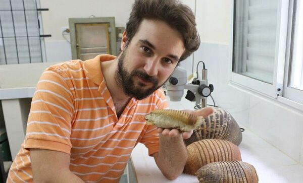 Raridade subterrânea: surgem FOTOS de fóssil do menor tatu do mundo - Sputnik Brasil