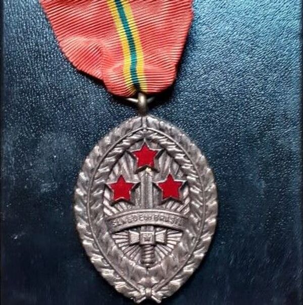 Medalha de Sangue do Brasil, conferida a Oswaldo Lellis e àqueles que deram suas vidas ou ficaram gravemente feridos em combate, durante a Segunda Guerra Mundial.  - Sputnik Brasil