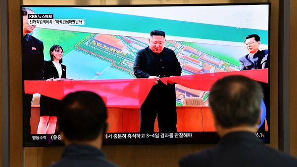 Sul-coreanos assistem à cerimônia de inauguração de fábrica de fertilizantes com Kim Jong-un na Coreia do Norte - Sputnik Brasil