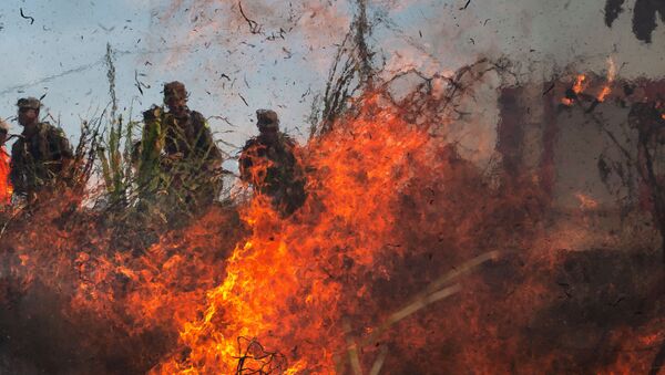 Militares participam no Pará de treinamento contra incêndios na Amazônia - Sputnik Brasil