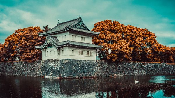Palácio Imperial de Tóquio, no Japão Palácio Imperial de Tóquio, no Japão - Sputnik Brasil