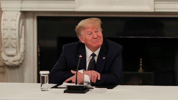 Presidente dos EUA, Donald Trump, fala com executivos do setor de serviços, na Casa Branca, em Washington, 18 de maio de 2020 - Sputnik Brasil
