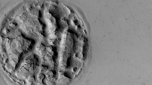 Relevo intrigante semelhante a um waffle na superfície de Marte - Sputnik Brasil