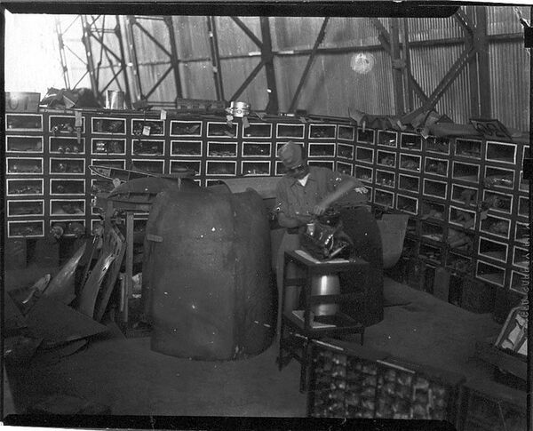 Senta a pua! Participação na 2ª Guerra está no DNA da Força Aérea Brasileira - Sputnik Brasil