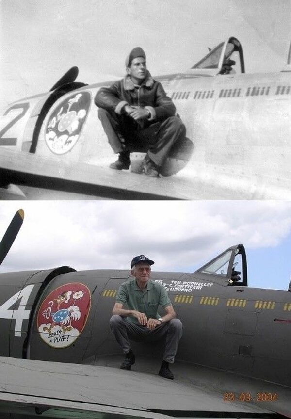 Senta a pua! Participação na 2ª Guerra está no DNA da Força Aérea Brasileira - Sputnik Brasil