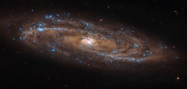 Galáxia espiral NGC 4100 na Constelação de Ursa Maior registrada pelo telescópio Hubble - Sputnik Brasil