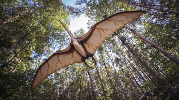 Imagem artística de pterossauro - Sputnik Brasil