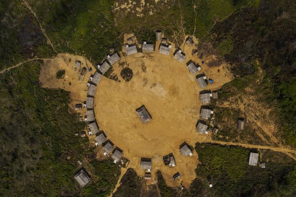 Relatórios indicam imenso desmatamento no Brasil e especialistas cobram fiscalização e alternativas - Sputnik Brasil