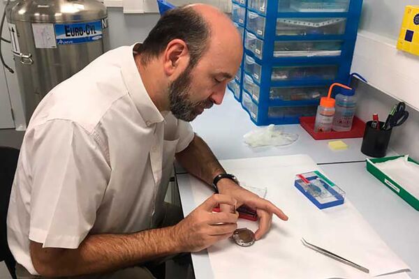 Encontrados fragmentos de meteorito que caiu na Espanha em 1703 (FOTOS) - Sputnik Brasil