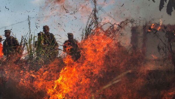 Operação do Exército em combate aos incêndios na Amazônia em 2019. - Sputnik Brasil