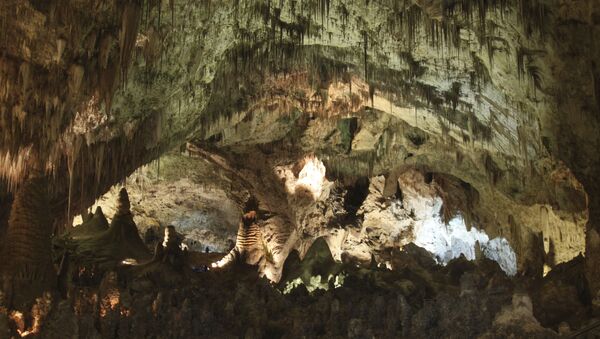 Caverna do Parque Nacional Carsbald Caverns nos EUA - Sputnik Brasil