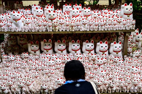 Visitante observa tradicionais estatuetas japonesas Maneki-neko no templo Gotokuji próximo de Tóquio, Japão - Sputnik Brasil