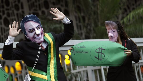 Manifestantes fantasiados de Bolsonaro e Merkel pedem a defesa da Amazônia em ato no Rio de Janeiro - Sputnik Brasil