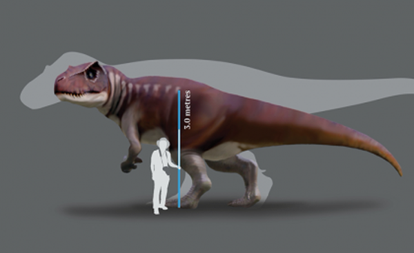 Paleontólogos revelam gigantescos dinossauros carnívoros habitando Austrália no Jurássico (FOTOS) Paleontólogos revelam gigantescos dinossauros carnívoros habitando Austrália no Jurássico (FOTOS) - Sputnik Brasil