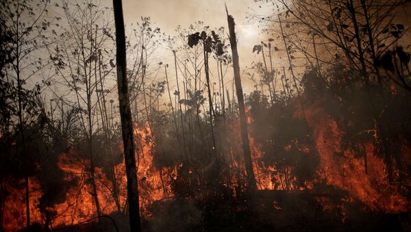 Queimada da floresta amazônica em 2019. - Sputnik Brasil