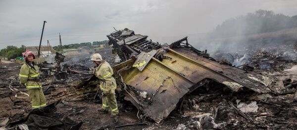 Equipes de resgate no local da queda do MH17 no leste da Ucrânia - Sputnik Brasil