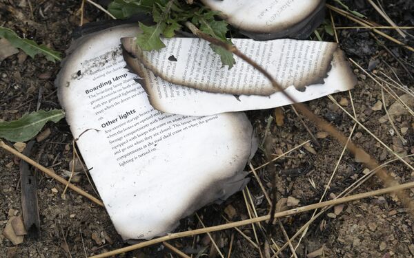 Livro queimado do avião MH17 perto da aldeia de Hrabove, no leste da Ucrânia - Sputnik Brasil