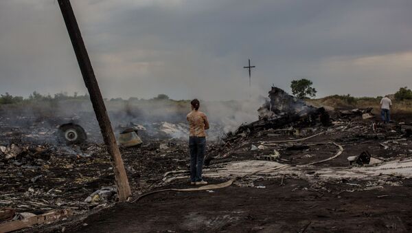 Tragédia do Boeing 777 perto de Shahtersk, Donetsk - Sputnik Brasil