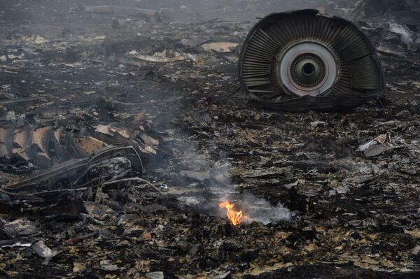 No local da queda do avião da Malaysia Airlines na região de Donetsk, no leste da Ucrânia - Sputnik Brasil