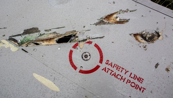 Possíveis sinais de estilhaços de um míssil nos destroços do MH17 - Sputnik Brasil