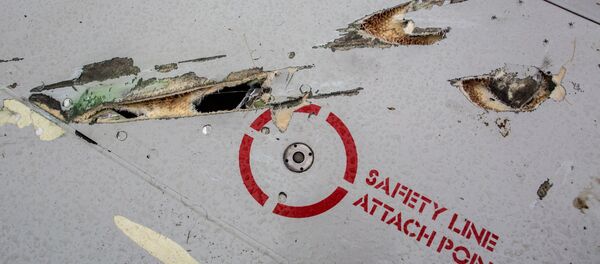 Possíveis sinais de estilhaços de um míssil nos destroços do MH17 - Sputnik Brasil