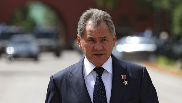 Ministro da Defesa da Rússia Sergei Shoigu - Sputnik Brasil