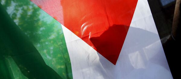 Bandeira da Palestina - Sputnik Brasil