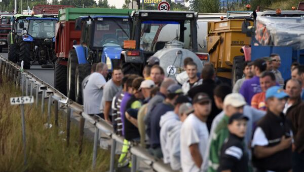 Agricultores em greve bloqueiam uma estrada na França - Sputnik Brasil