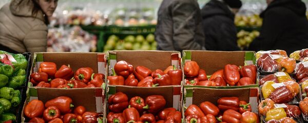 Supermercado em Veliky Novgorod, na Rússia - Sputnik Brasil