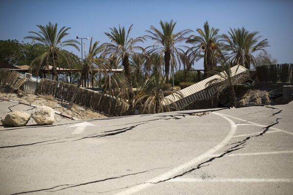 Palmeiras engolidas por sumidouro na costa do mar Morto, em Israel - Sputnik Brasil