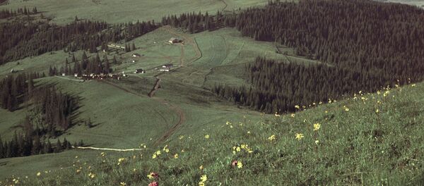 Vilarejo na região de Bucovina - Sputnik Brasil